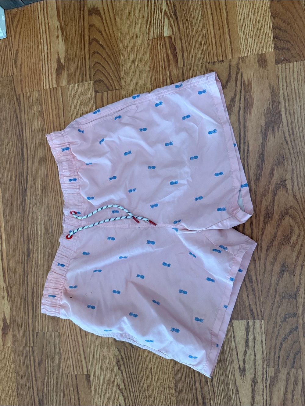 chubbies Pink Swim Shorts with Blue Pineapple Print